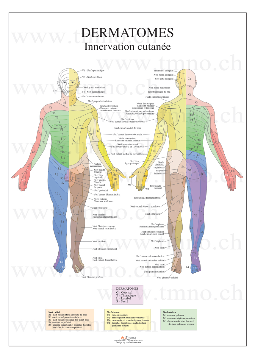Neuro1.jpg