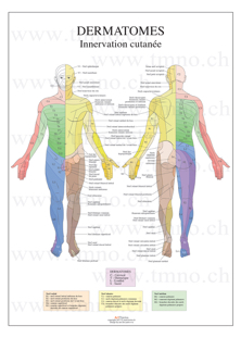 Neuro1.jpg